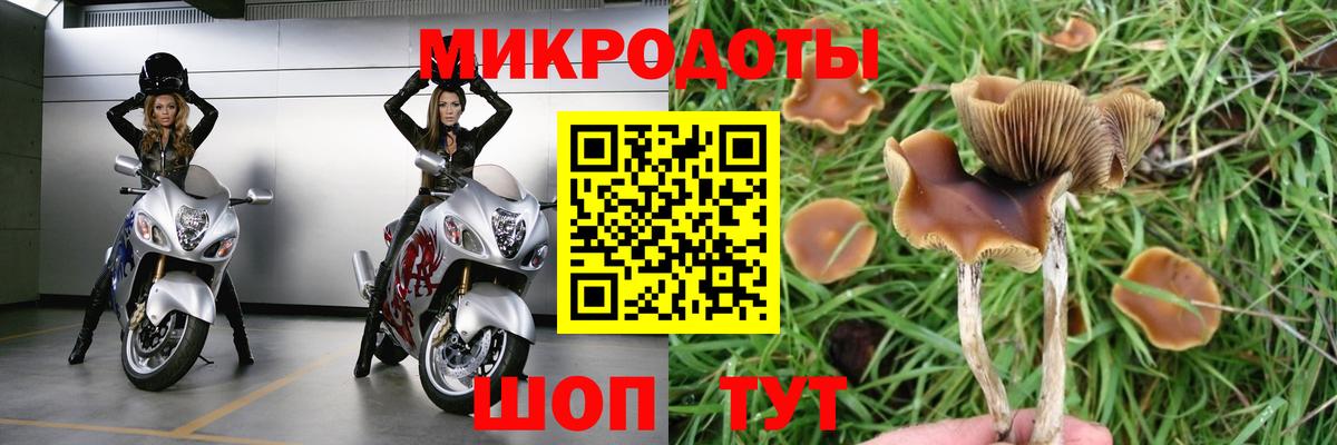 Псилоцибиновые грибы Psilocybine cubensis  Вход с VPN  Кунгур 