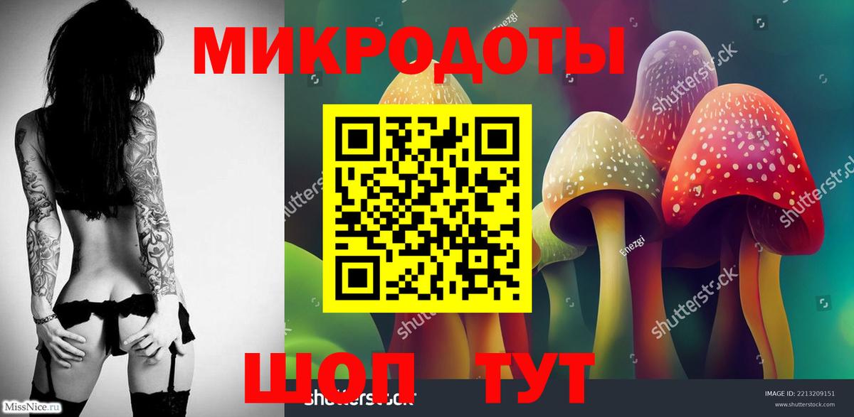 Галлюциногенные грибы Psilocybe Кунгур